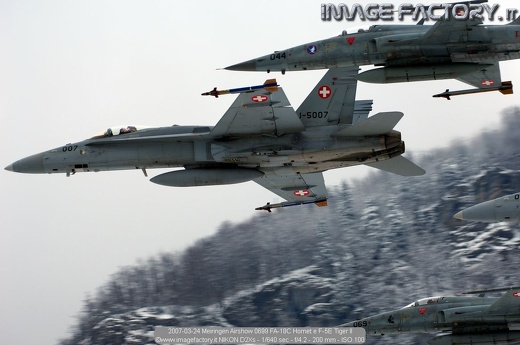 2007-03-24 Meiringen Airshow 0699 FA-18C Hornet e F-5E Tiger II